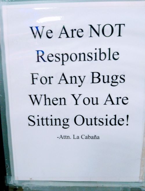 bugs_outside