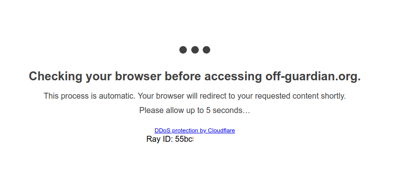 screenshot showing cloudflare delaying a website visit