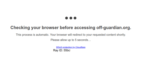 screenshot showing cloudflare delaying a website visit
