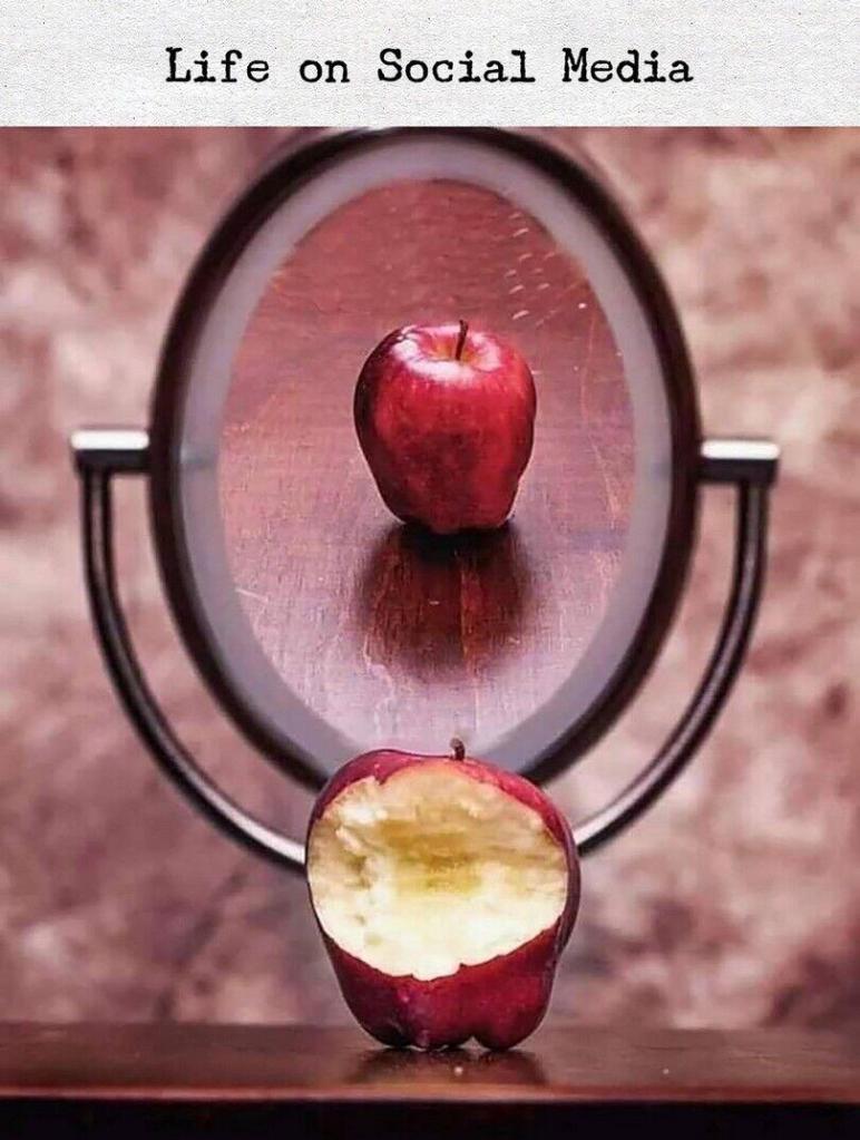 "life on social media" caption. Apple in mirror. Public side looks whole, personal facing side is all eaten out.