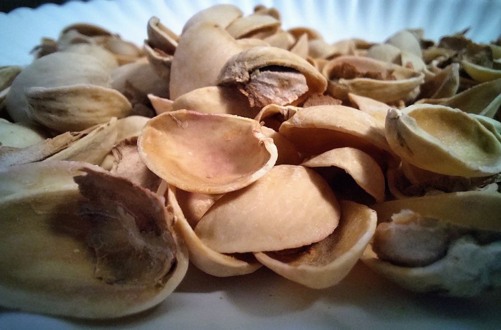 closeup of pile of pistachio shells